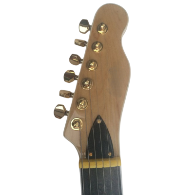 Custom Regent Thinline Jim Adkins Fhole Tobacco Sunburst Bigsby Guitar - Image 5