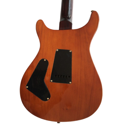 Custom Monarch SE 3138 Carlos Spalted Maple Burst Electric Guitar - Image 4