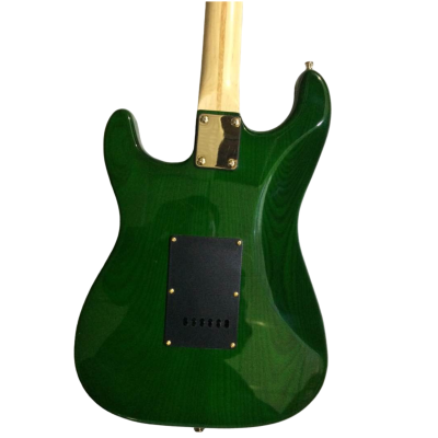 Custom Regent Landau Green Burst Quilted Maple Top Guitar - Image 5