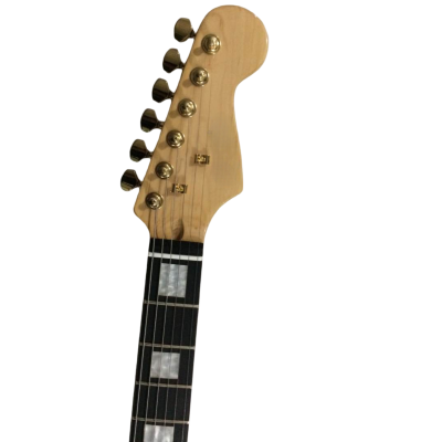 Custom Regent Landau Green Burst Quilted Maple Top Guitar - Image 6
