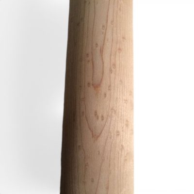 Custom Regent DIY Unfinished Scalloped Birdeye Neck Tiger Maple Fretboard Brass Fret 6 String Guitar - Image 5