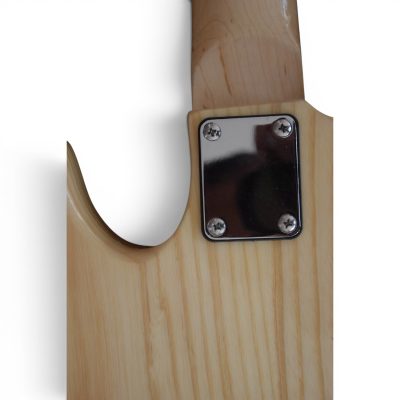 Custom Regent Ash Body Wood 5 String Bass Marcus Miller Maple Fretboard - Image 5
