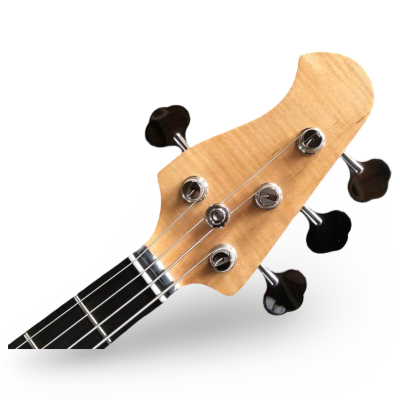 Custom Aether Skull Inlays Mother Of Pearl Sting Olympic White Red Tortoiseshell 4 String Bass - Image 4