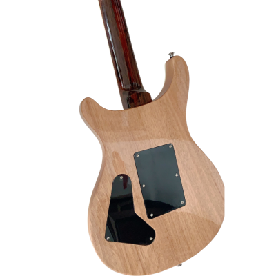 Custom Monarch Prism Al Di Meola Flamed Maple Top Electric Guitar - Image 5