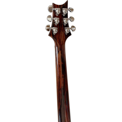 Custom Monarch Prism Al Di Meola Flamed Maple Top Electric Guitar - Image 4