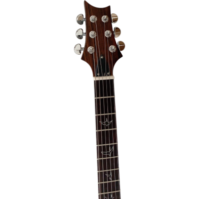 Custom Monarch Prism Al Di Meola Flamed Maple Top Electric Guitar - Image 2