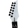 Custom Axis DIY Unfinished Jem Vai Guitar Neck Steve Tree Of Life Inlay Machine Heads