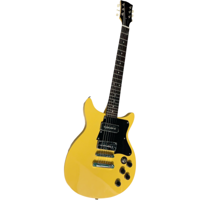 Custom Crown 2 P90 Pickups Billie Joe Armstrong Junior Double Cutaway TV Yellow Electric Guitar - Image 7