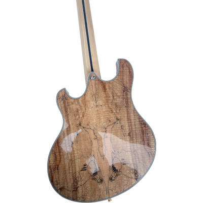 Custom Vesper Languedoc Region Fhole Natural Spalted Maple Bracing Inside Electric Guitar - Image 3