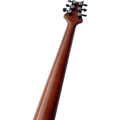 Custom Monarch 24 Gray Burst SE Mark Holcomb Flamed Maple Top Electric Guitar - Image 4