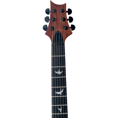 Custom Monarch 24 Gray Burst SE Mark Holcomb Flamed Maple Top Electric Guitar - Image 6