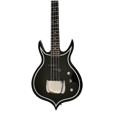 Custom Dynasty Kiss Gloss Black White Pinstripe Band Edge Gene Simmons Punisher Bass