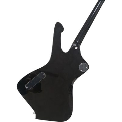 Custom Axis Iceman PS10 Wiki Fandom Black Finish Paul Stanley Guitar - Image 3