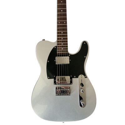 Custom Regent Deluxe Jim Root Sonic Silver 6 String Electric Guitar