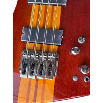 Custom Cylinder Exploiter 8 String Bass Walnut Natural Clear Entwistle Center Neck Stripe Alembic - Image 5