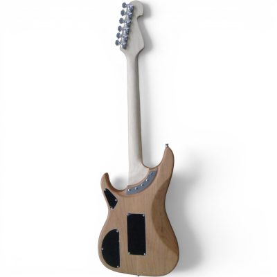 Custom Aurelius Nuno N4 Bettencourt Matte Natural Finish Electric Guitar Floyd Rose Tremolo - Image 5