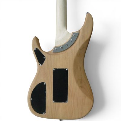 Custom Aurelius Nuno N4 Bettencourt Matte Natural Finish Electric Guitar Floyd Rose Tremolo - Image 4