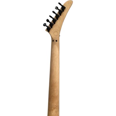 Custom Cinder NightSwans Ligthning Vivian Campbell Tremolo Electric Guitar - Image 5