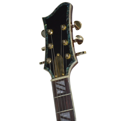 Custom Topaz Ronnie Wood CS24PF Natural Mosaic Pearl And Blue Green Abalone Guitar - Image 4