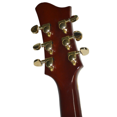 Custom Topaz Ronnie Wood CS24PF Natural Mosaic Pearl And Blue Green Abalone Guitar - Image 9