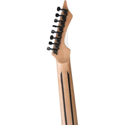 Custom Topaz Black Machine Open Pore Matte Black Finish Ash 8 String Guitar - Image 9