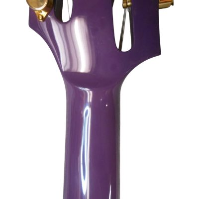 Custom Pyrite MI 5 Purple Finish Momo 8 String Bass 34 Inch Scale - Image 4