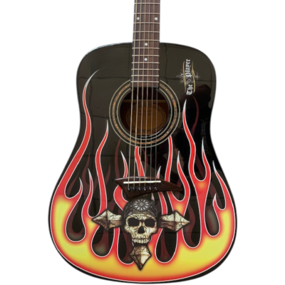 Custom Vertex Hot Rod Flames Bret Michael The Player Acoustic Guitar Dreadnought