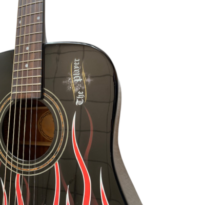 Custom Vertex Hot Rod Flames Bret Michael The Player Acoustic Guitar Dreadnought - Image 5
