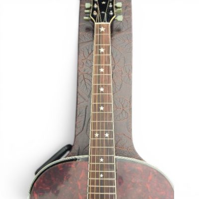 Custom Crown J180 Black Finish Brothers Acoustic Electric Guitar Red Tortoiseshell Moustache Pickguards - Image 6
