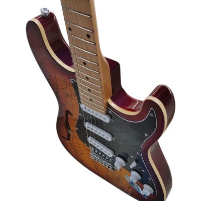 Custom Regent Violin Burst Fhole Suona Thinline Spalted Maple Guitar - Image 4