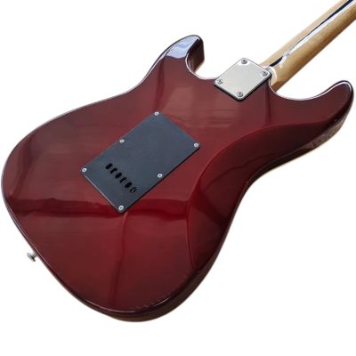 Custom Regent Violin Burst Fhole Suona Thinline Spalted Maple Guitar - Image 5