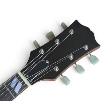 Custom Crown Gold Top Metallic Fhole Floral Scotty ES295 P90 Pickups Hollow Body Bigsby Tremolo - Image 4