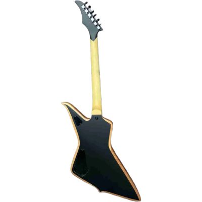 Custom Titan Wylde Matte Mahogany Blackout Blood Eagle Finish Guitar - Image 3