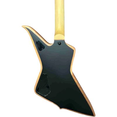 Custom Titan Wylde Matte Mahogany Blackout Blood Eagle Finish Guitar - Image 5
