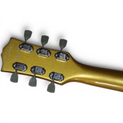Custom Crown Gold Top Fhole Floral Scotty ES295 P90 Pickups Hollow Body - Image 6