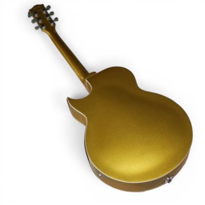 Custom Crown Gold Top Fhole Floral Scotty ES295 P90 Pickups Hollow Body - Image 7