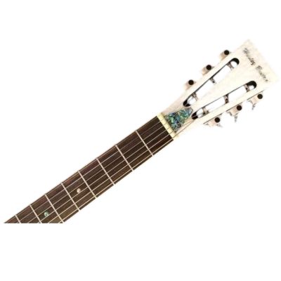 Custom Cobalt Resonator Chrome Plated Brass Body Fholes Acoustic Guitar Mother Of Pearl Resophonic Single Cone - Image 6