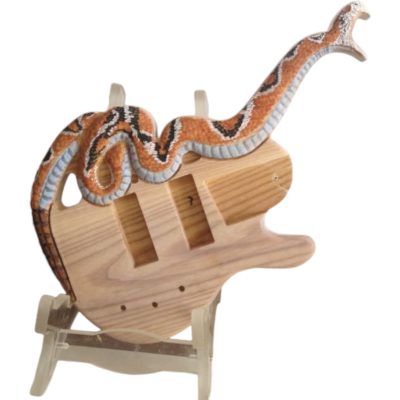 Custom Dynasty Cobra Carve Engraved Body 4 String Bass Hand Painted Finish - Image 4