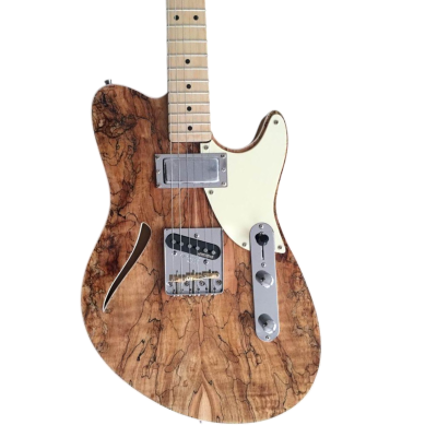 Custom Regent Spalted Maple Burl Top Finish Thinline Electric Guitar
