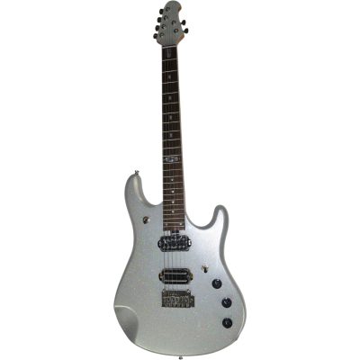 Custom Aether John Petrucci Metallic Silver Dust Electric Guitar - Image 3