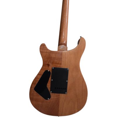 Custom Monarch Al Di Meola Prism Finish Electric Guitar - Image 10