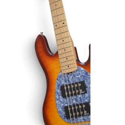 Custom Aether Sting Sunburst Quilted Maple Top 5 String Bass - Image 9