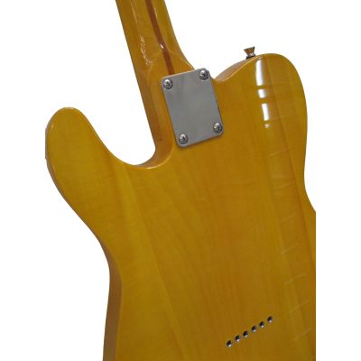 Custom Regent Keith Butterscotch Blonde Finish Electric Guitar - Image 7