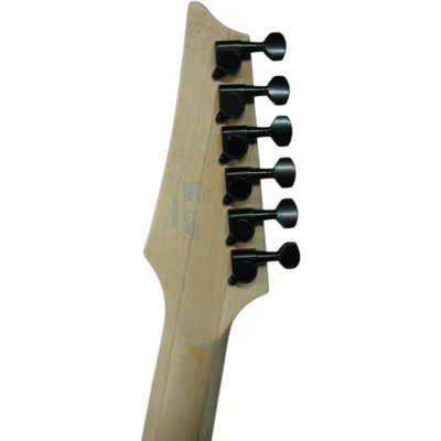 Custom Axis JEM77 Floral Pattern Electric Guitar - Image 8