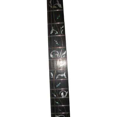 Custom Axis SVAI White Jem Floyd Rose Tremolo 6 String Electric Guitar - Image 6