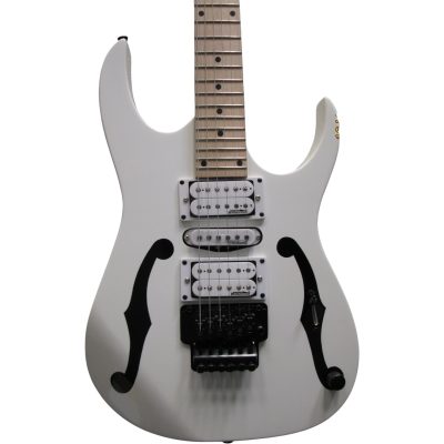 Custom Axis PGMM31 Paul Gilbert Floyd Rose Tremolo Black Fholes Electric Guitar Maple