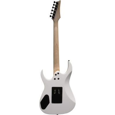 Custom Axis PGMM31 Paul Gilbert Floyd Rose Tremolo Black Fholes Electric Guitar Maple - Image 6