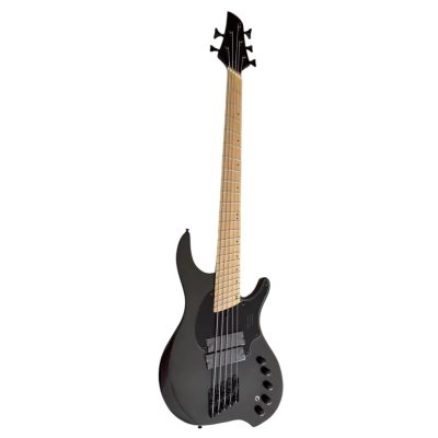 Custom Ironroot Combustion Black Multi Scale Fanned Frets 5 String Bass