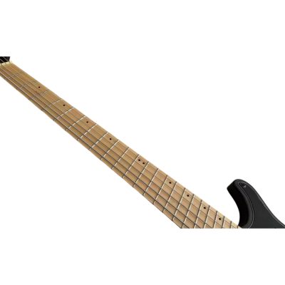 Custom Ironroot Combustion Black Multi Scale Fanned Frets 5 String Bass - Image 5