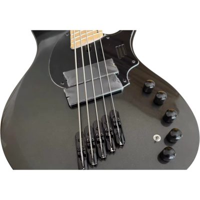 Custom Ironroot Combustion Black Multi Scale Fanned Frets 5 String Bass - Image 3